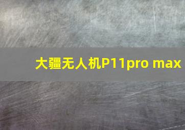 大疆无人机P11pro max